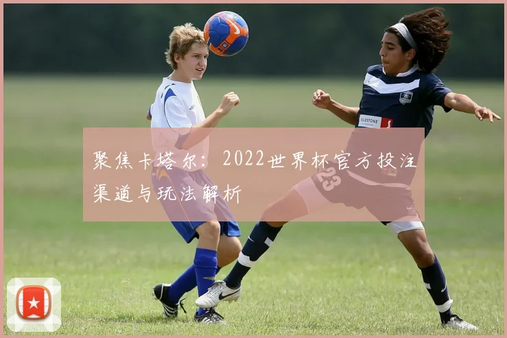聚焦卡塔尔：2022世界杯官方投注渠道与玩法解析