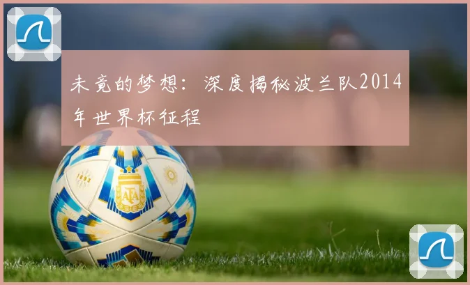 未竟的梦想：深度揭秘波兰队2014年世界杯征程