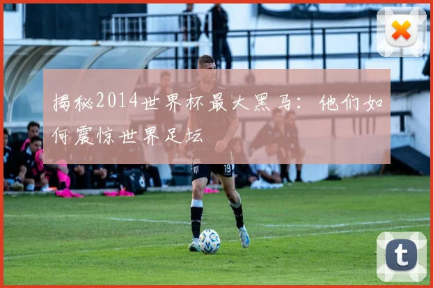 揭秘2014世界杯最大黑马：他们如何震惊世界足坛