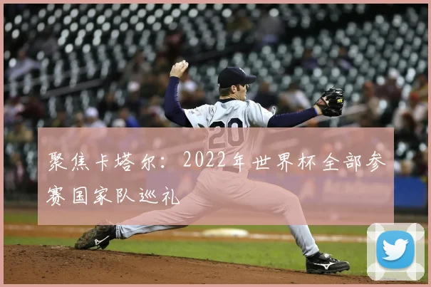 聚焦卡塔尔：2022年世界杯全部参赛国家队巡礼