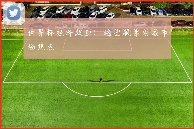 世界杯经济效应：这些股票或成市场焦点