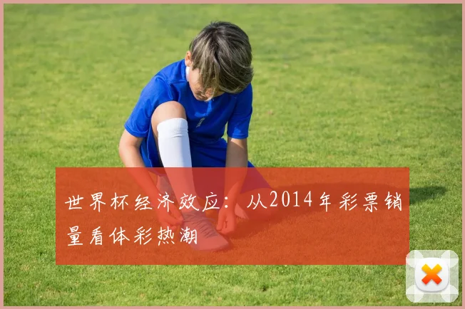 世界杯经济效应：从2014年彩票销量看体彩热潮
