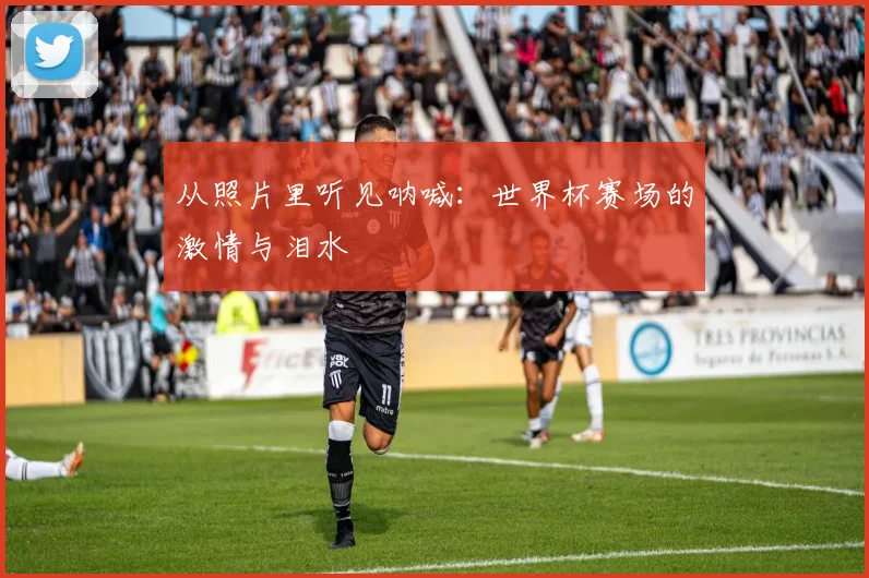 从照片里听见呐喊:世界杯赛场的激情与泪水
