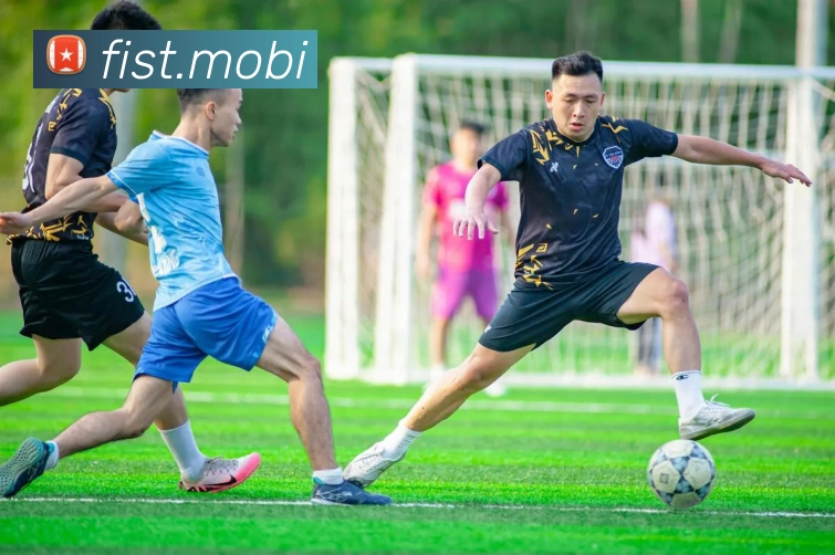 K1体育app官网平台生态图